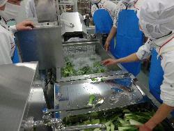 野菜洗浄機の画像