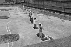 発掘された奈良時代の掘立柱建物の柵列跡の写真