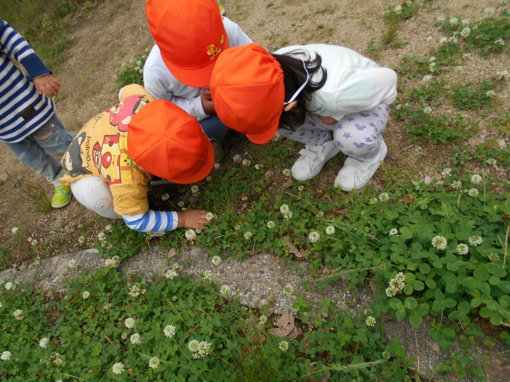 子ども達が草むらに集まって虫を探しています