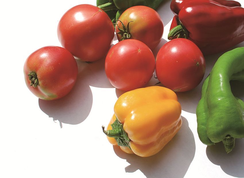 いろいろ野菜の写真