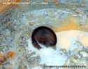 別所遺跡・奈良時代の井戸跡から出土した土師器皿の写真