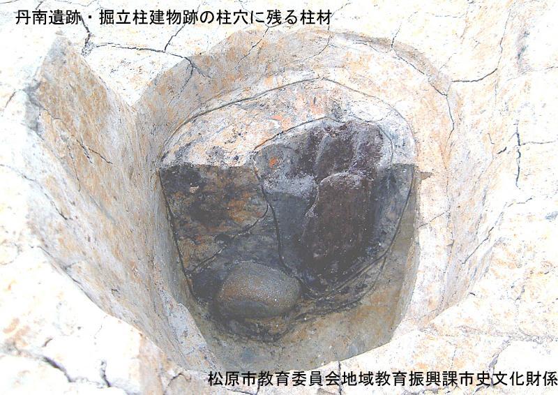 丹南遺跡・掘立柱建物跡の柱穴に残る柱材の写真（室町時代）