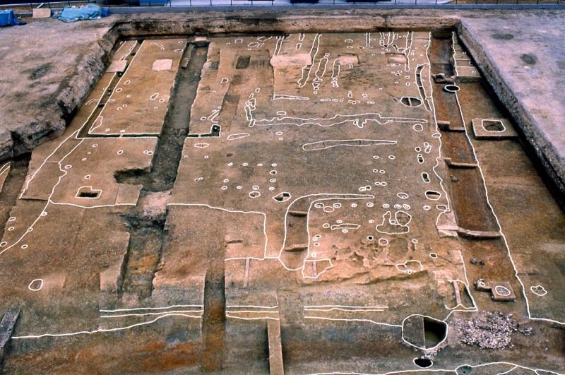 丹南遺跡・丹南陣屋跡発掘調査の写真（南から）