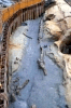 丹比大溝・大溝跡・杭出土状況（飛鳥~奈良時代）の写真