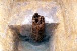 蔵重遺跡・蔵重西遺跡・掘立柱建物柱穴跡に残る柱材（奈良時代）の写真