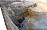 上田町遺跡・河川跡内で発見された井堰跡（弥生時代後期）の写真