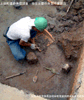 上田町遺跡・弥生土器の発掘調査状況の写真